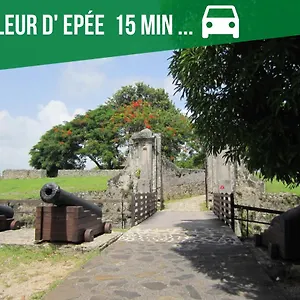 Appartement Le Nid Dor - De Standing, Le Gosier (Grande-Terre)